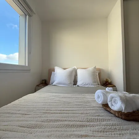 Cosy * シェシー
